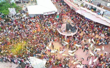 सांवलियाजी में जलझूलनी एकादशी पर  उमडा सैलाब