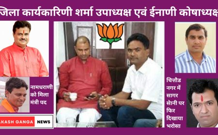 भाजपा में खींचतान के हालात तो नहीं: विधायक पक्ष  के नगर अध्यक्षों को हटाया