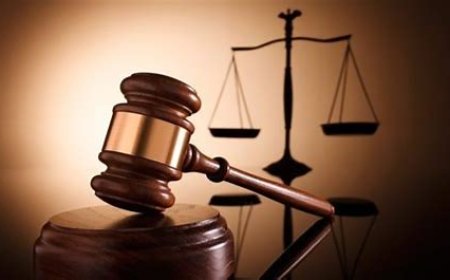 राजस्थान उच्च न्यायालय  का बड़ा फैसला, विधवा पुत्रवधु को 3 महीने में  नौकरी देने का दिया आदेश