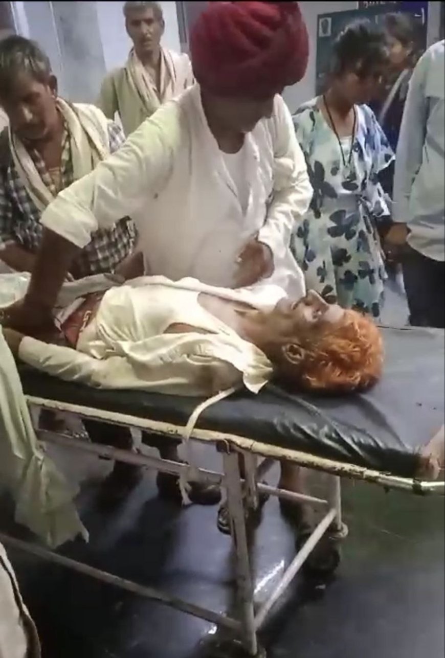 अज्ञात वाहन की टक्कर से दो श्रद्धालुओं  की मौत, दर्शन के लिए जा रहे थे सांवरिया जी