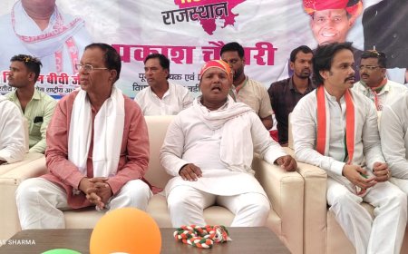 बड़ी सादड़ी में   किसान सम्मेलन  का किया गया आयोजन