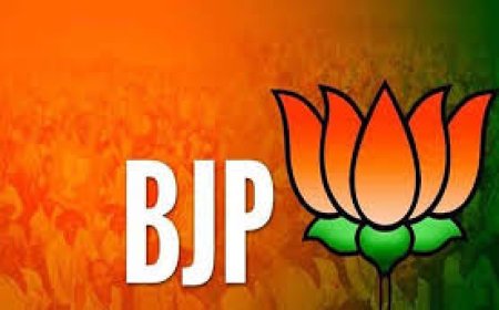 भाजपा अब सख्ती के मूड में, चंदेरिया एवं बस्सी मंडल अध्यक्ष बदले 