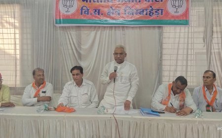 निम्बाहेड़ा विधानसभा क्षेत्र चुनाव प्रबंधन एवं समन्वयक बैठक  