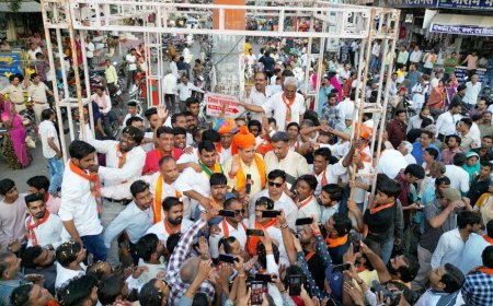 भय एवं अपराध मुक्त चित्तौड़गढ़ मेरा सपना-  राजवी 