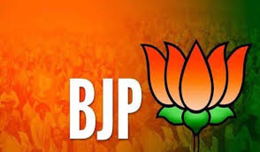 चित्तौडगढ से भाजपा किसे उतारेगी मैदान में जोशी या चन्द्रभान !