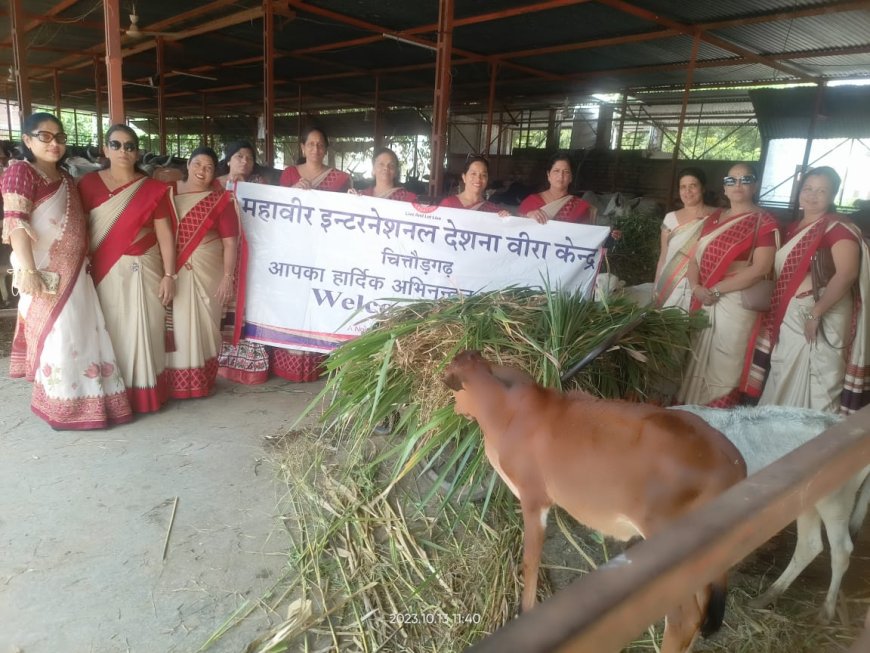 देशना वीरा केंद्र के द्वारा    गौशाला में हरा चारा वितरित किया