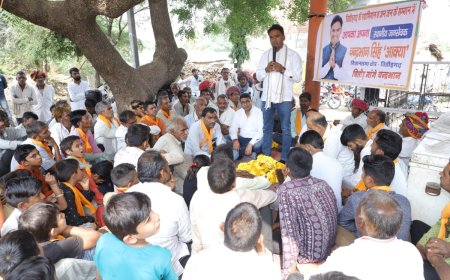 विधानसभा क्षैत्र के विभिन्न गांवो में जन सम्पर्क किया