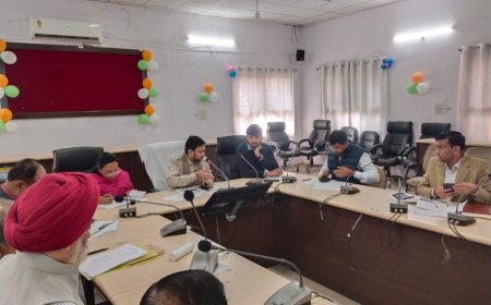 शहर में सफाई व्यवस्था, अतिक्रमण हटवाने, आवारा पशुओं  के समाधान, डोर टू डोर कचरा संग्रहण की व्यवस्था को दुरुस्त करने के  निर्देश