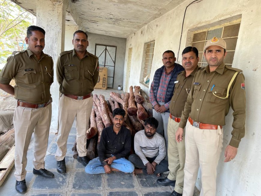 अजवाईन की चुरी के आड़ में लाल चंदन की तस्करी 