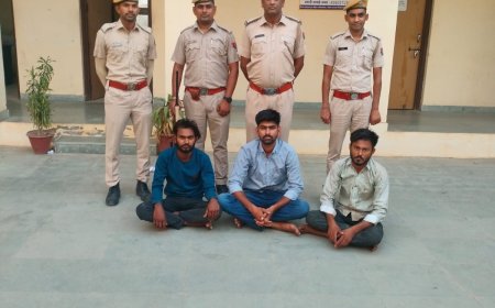 गेहुं की आड़ में परिवहन किया जा रहा  अवैध अफीम डोडा चूरा