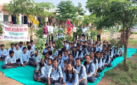 शीत लहर के चलते चित्तौड़गढ़ के समस्त स्कूलों में तीन दिन का अवकाश घोषित