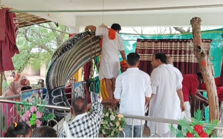 श्री काला बावजी देव स्थल पर नागपंचमी महोत्सव प्रकृति की सेवा के साथ श्रद्धा   पूर्वक मनाया, उमड़ी श्रद्धालुओं की भीड़