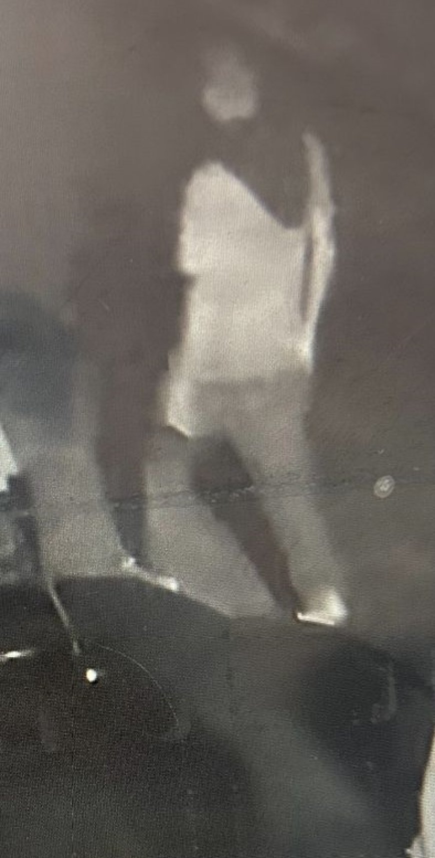 भीलवाडा पुलिस की बडी सफलता गोवंष की पूंछ काटकर मंदिर के बाहर फैंकने का मुख्य आरोपी  गिरफ्तार   पांच सौ से ज्यादा सीसी कैमरे खंगाले 