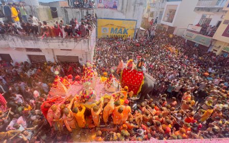 श्री सांवलिया सेठ मेले के दूसरे दिन चांदी के रथ में निकाली गई भव्य शोभायात्रा  हेलीकॉप्टर से की गई पुष्प वर्षा