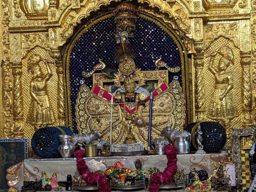 विशाल जलझूलनी एकादशी मेला 13 से  कवि सम्मेलन  भजन संध्या एवं हेलीकॉप्टर से पुष्प वर्षा सहित मेले में होंगे कई सांस्कृतिक कार्यक्रम