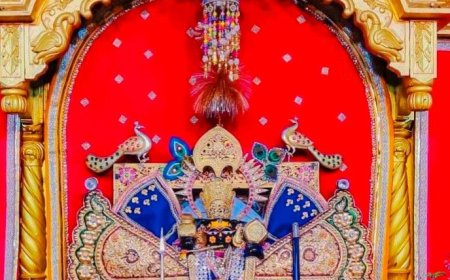 सांवलिया सेठ के चढ़ावे का रिकॉर्ड टूटा, ₹51 करोड़ आए