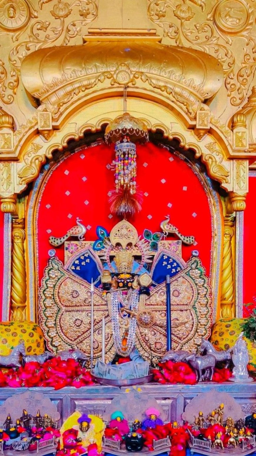 सांवलिया सेठ के चढ़ावे का रिकॉर्ड टूटा, ₹51 करोड़ आए