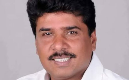 भाजपा सरकार के दो वर्ष : विफलताओं की सरकार — जिला कांग्रेस अध्यक्ष प्रमोद सिसोदिया