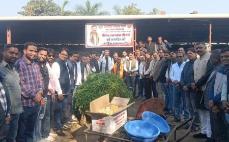 मुख्यमंत्री भजन लाल शर्मा के जन्मदिवस पर गांधी नगर गोशाला में सेवा कार्य आयोजित