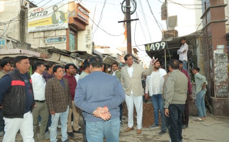 विधायक कृपलानी ने 5 घंटे तक किया विकास कार्यों का व्यापक निरीक्षण