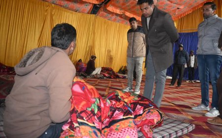 जिला कलक्टर ने किया रैन बसेरे एवं अन्नपूर्णा रसोई का निरीक्षण